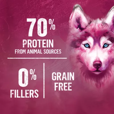 Beyond Wild Beef & Egg Recipe, Dry Dog Food - Image 3