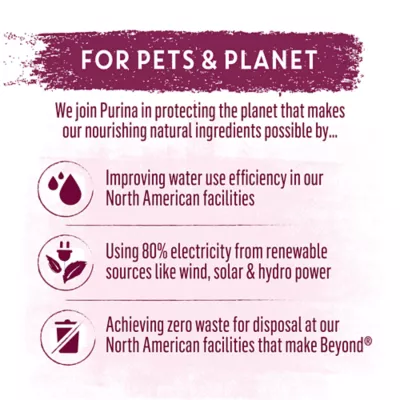 Beyond Wild Beef & Egg Recipe, Dry Dog Food - Image 4