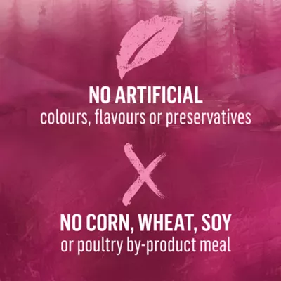 Beyond Wild Beef & Egg Recipe, Dry Dog Food - Image 5