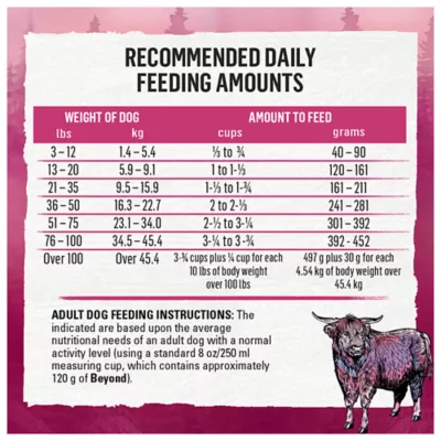 Beyond Wild Beef & Egg Recipe, Dry Dog Food - Image 9