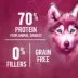 Beyond Wild Beef & Egg Recipe, Dry Dog Food image thumbnail 3