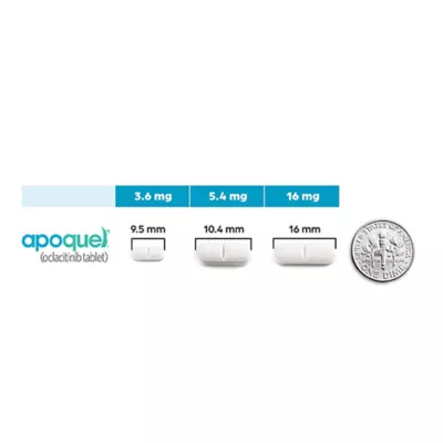 Product Apoquel Tablets for Dogs, 16 mg, 30 Tablets