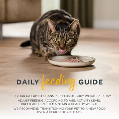 Reveal Entrees Adult Wet Cat Food In Broth - Grain Free, 12 Count, Variety Pack - Image 4