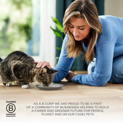 Reveal Entrees Adult Cat Wet Food - In Broth, 2.47 OZ - Image 7