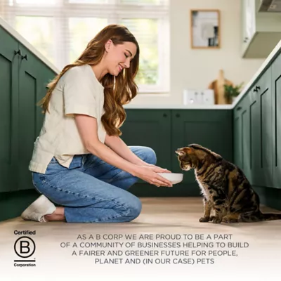 Reveal Adult Complete Dry Cat Food - Grain Free, Chicken Recipe, 7 LB - Image 6