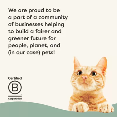 Applaws Vitality Indoor Adult Cat Dry Food - High Protein, Turkey & Cod - Image 8