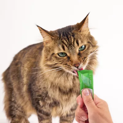 Greenies Feline Smart Purees Adult Cat Lickable Treats Salmon and Chicken - Image 3