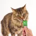 Greenies Feline Smart Purees Adult Lickable Cat Treats image thumbnail 3
