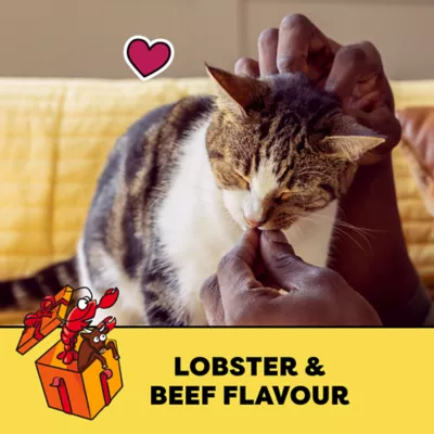 Temptations Adult Cat Treats Lobster & Beef Flavour - Image 3