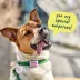 WOOF Poomergency Starter Pack, Dog Poop Bag Holder For Collars - 23 Emergency Refills -  Green image thumbnail 5