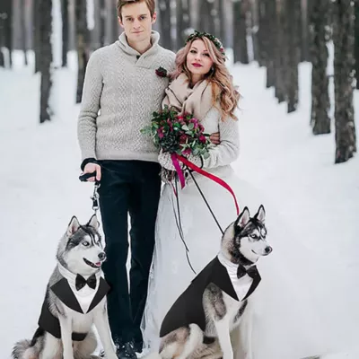 Product Kuoser Dog Tuxedo