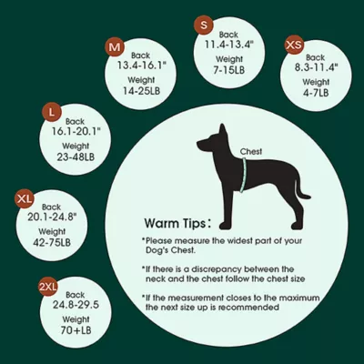 Product Kuoser Dog Recovery Suit