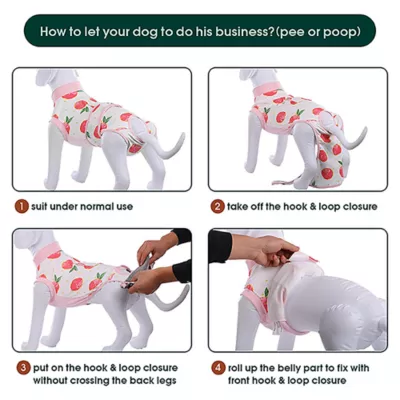 Product Kuoser Dog Recovery Suit