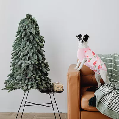 Product Kuoser Dog Recovery Suit