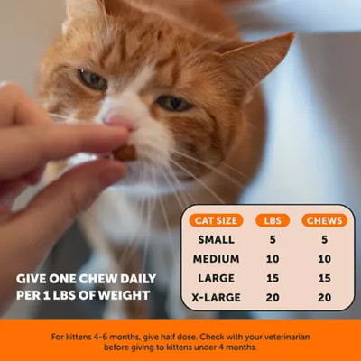 Pet Honesty Cat Hip & Joint Chew - Chicken, 3.7oz - Image 4