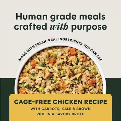 Instinct Freshly Crafted Meals Adult Wet Dog Food - 11 oz - Image 2