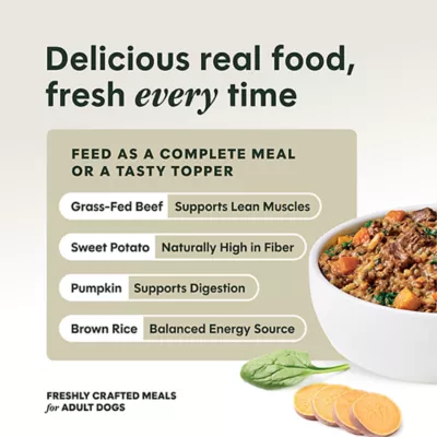 Instinct Freshly Crafted Meals Adult Wet Dog Food - 11 oz - Image 3