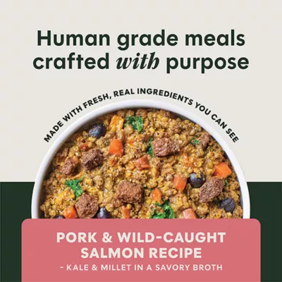 Instinct Freshly Crafted Meals Adult Wet Dog Food - 11 oz - Image 2