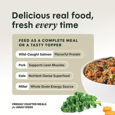 Instinct Freshly Crafted Meals Adult Wet Dog Food - 11 oz - Image 3