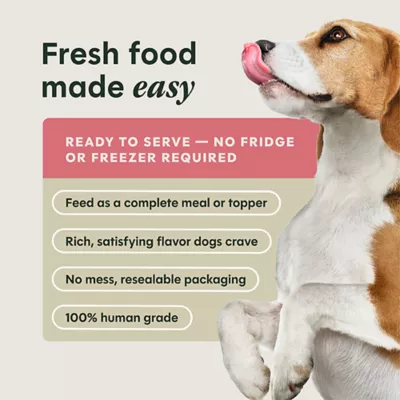 Instinct Freshly Crafted Meals Adult Wet Dog Food - 11 oz - Image 5