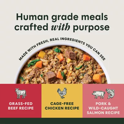 Instinct Freshly Crafted Meals Adult Wet Dog Food Variety Pack - Beef, Chicken, & Pork, 6 ct - Image 2