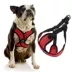 Gooby Comfort X Harness image thumbnail 3