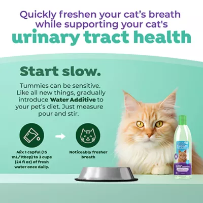 Product TropiClean Fresh Breath Dental Water Additive + Urinary Tract Support for Cats, 16 Oz