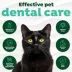 TropiClean Fresh Breath Dental Water Additive + Urinary Tract Support for Cats, 16 Oz image thumbnail 7