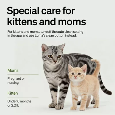 PETLIBRO Luma Smart Automatic Cat Litter Box with Camera - Image 16