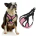 Gooby Comfort X Harness image thumbnail 3