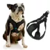 Gooby Comfort X Harness image thumbnail 3