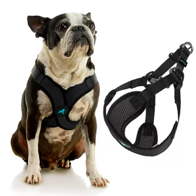 Gooby Comfort X Harness - Image 3