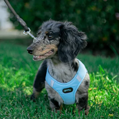 Gooby Easy Fit 2 Harness - Image 5