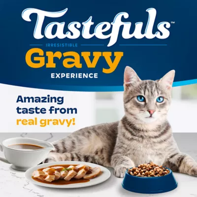 BLUE Tastefuls Gravy Adult Chicken & Brown Rice Recipe 3.1kg (7lb) - Image 4