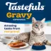 BLUE Tastefuls Gravy Adult Salmon & Brown Rice Recipe 3.1kg (7lb) image thumbnail 4