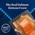 Blue Buffalo Wilderness Kitten Dry Food - Grain Free, Salmon image thumbnail 3