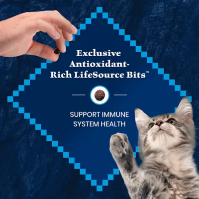 Blue Buffalo Wilderness Kitten Dry Food - Grain Free, Salmon - Image 7