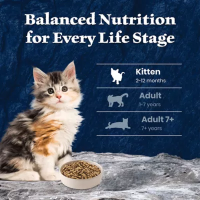 Blue Buffalo Wilderness Kitten Dry Food - Grain Free, Salmon - Image 8
