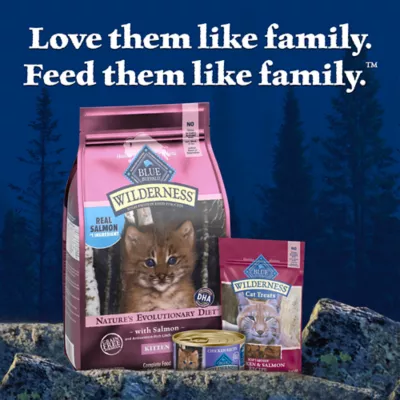Blue Buffalo Wilderness Kitten Dry Food - Grain Free, Salmon - Image 9