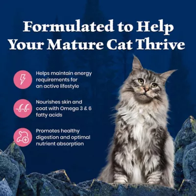 Blue Buffalo Wilderness Adult 7+ Dry Cat Food - Grain Free, Salmon - Image 4