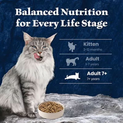 Blue Buffalo Wilderness Adult 7+ Dry Cat Food - Grain Free, Salmon - Image 8