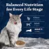 Blue Buffalo Wilderness Adult 7+ Dry Cat Food - Grain Free, Salmon image thumbnail 8