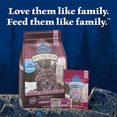 Blue Buffalo Wilderness Adult 7+ Dry Cat Food - Grain Free, Salmon - Image 9