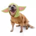 BARK Star Wars Mandalorian Grogu Hoodie image thumbnail 3
