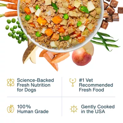 JustFoodForDogs Adult Frozen Dog Food - Beef & Russet Potato, Grain Free - Image 2