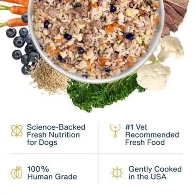 JustFoodForDogs Adult Frozen Dog Food - Lamb & Brown Rice - Image 2