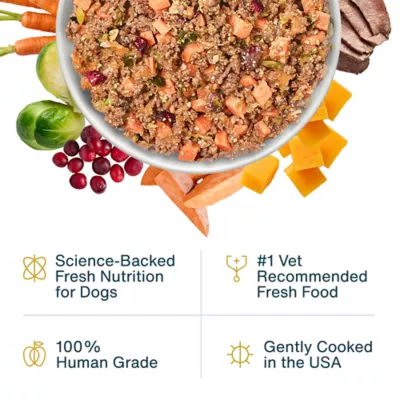 JustFoodForDogs Adult Frozen Dog Food - Venison & Squash - Image 2