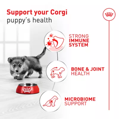 Royal Canin Breed Health Nutrition Corgi Puppy Dry Dog Food - Image 2