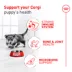 Royal Canin Breed Health Nutrition Corgi Puppy Dry Dog Food image thumbnail 2