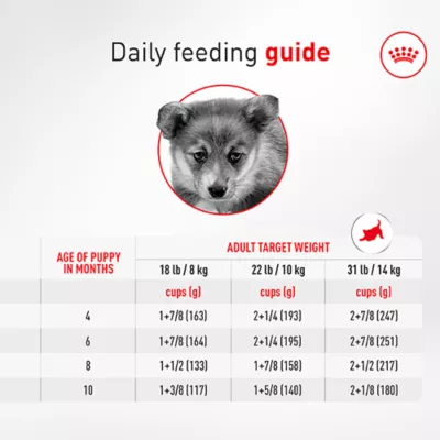 Royal Canin Breed Health Nutrition Corgi Puppy Dry Dog Food - Image 8